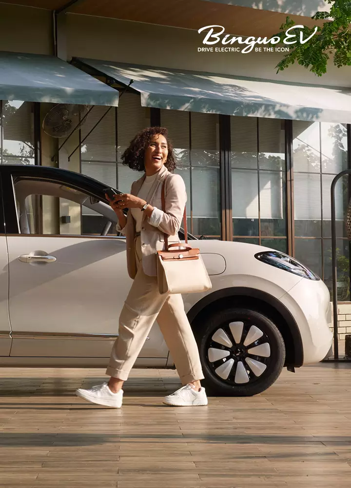 Wuling Binguo EV Wuling Binguo EV