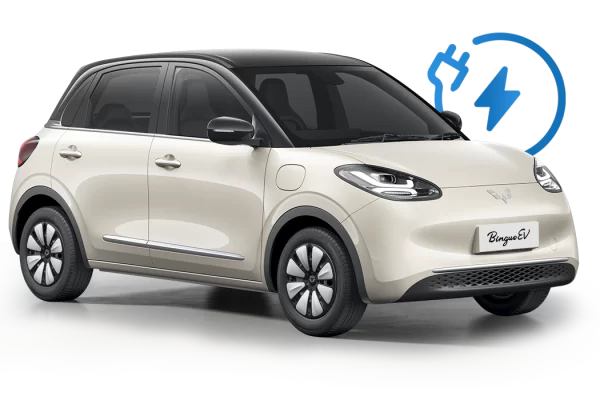 Wuling Binguo EV
